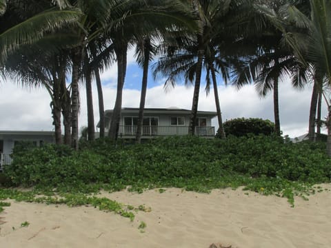 ON THE BEACH...BEACHFRONT DEFINED