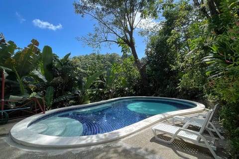 Eco-Condo #8 Serviced Apartments w/Pool (1550)