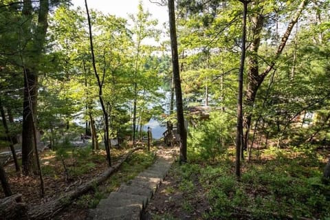 Discover tranquility in this serene forest setting. A stone path leads you through lush greenery to a tranquil lake, offering a peaceful retreat amidst nature