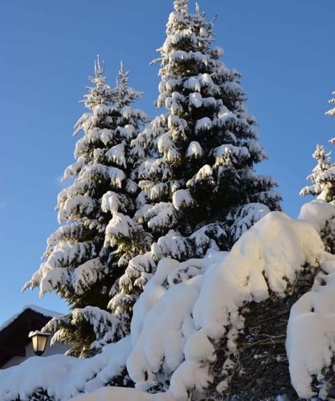 Surroundings [winter] (1-5 km)