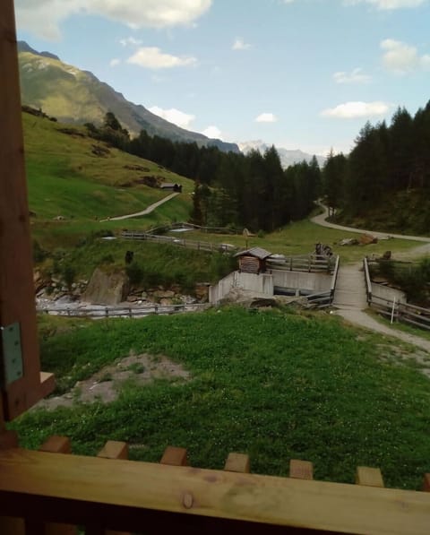 View from Holiday Home [summer]