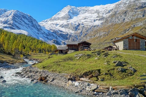 Immediate Surroundings [summer] (<1 km)