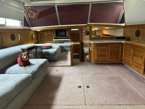 Living Space (1)