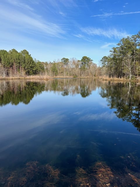 View from the side of the lake.