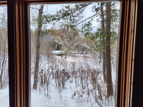 View of River from Family Room
