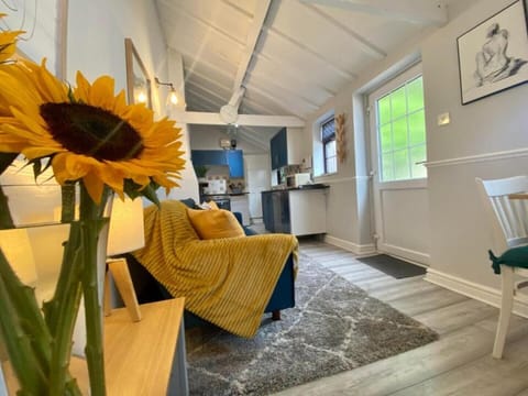 Open plan sitting, tv, dining, kitchen area.