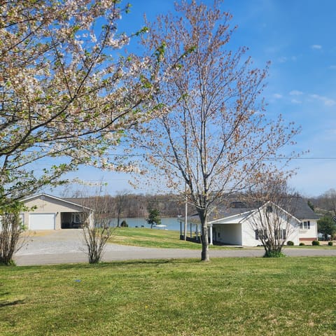 Trees are bloomed in the spring in the front yard . looking at  lake 