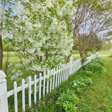The right side of house.  Beautiful flowers and trees in the spring 