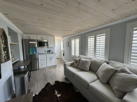 Living, Kitchenette, TV, Queen Pullout