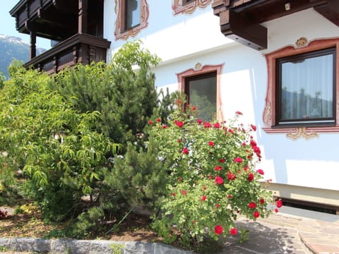 Property, Flower, House, Plant, Shrub, Real Estate, Home, Botany, Building, Tree