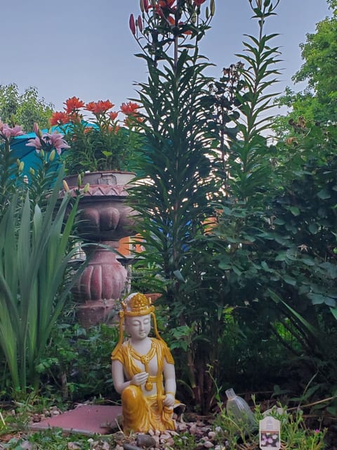 Side garden with seasonal flowers and herbs