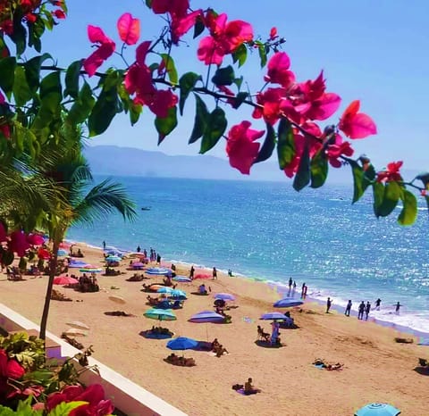 A beach view from the Master bedroom.
