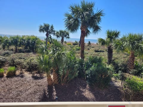 View from patio