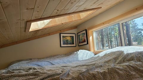 Twin beds "under the stars" in the loft