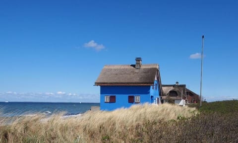 Town/city in general