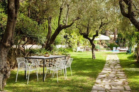 Plant, Furniture, Table, Tree, Branch, Natural Landscape, Shade, Chair, Grass, Outdoor Furniture
