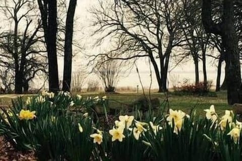 9b793c3a 1242 4c03 b210 f0155abd98a2