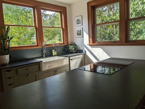 Kitchen (induction cooktop)