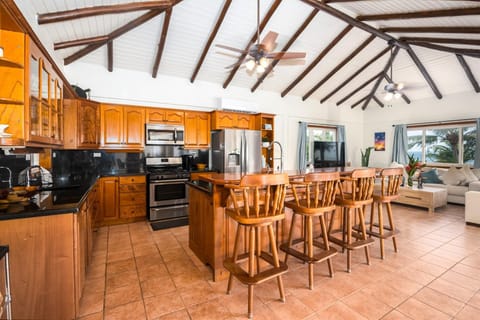 Dolphin Beach - Private Oceanfront 4-Bed Villa w/Pool on Huge Lot (3678)