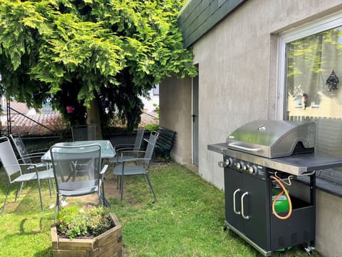 Plant, Property, Building, Leaf, Green, Chair, Window, Grass, Road Surface, Tree