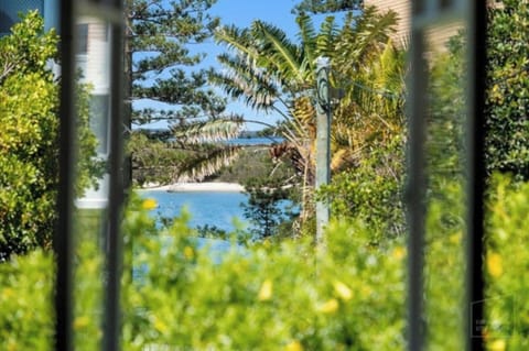 View from Window