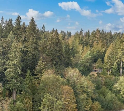 Aerial view of proximity to water