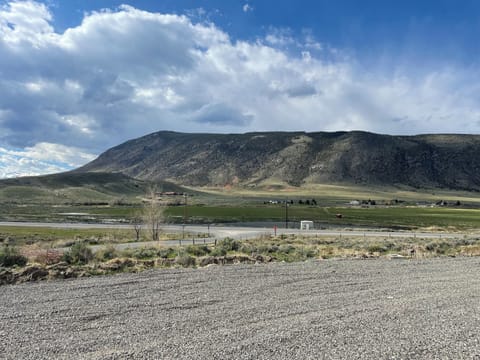 North Views