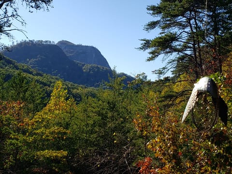 View from front deck