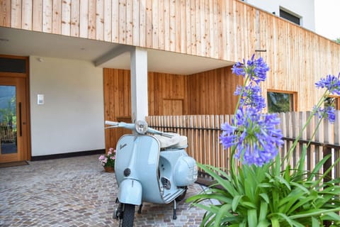 Entrance / Reception