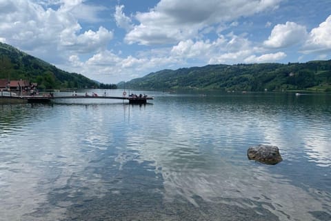 Immediate Surroundings [summer] (<1 km)