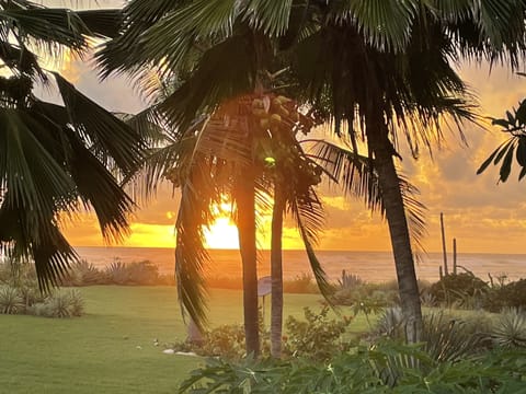 Ocean view from house