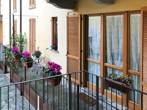 Flower, Plant, Building, Property, Flowerpot, Window, Houseplant, Door, Wood
