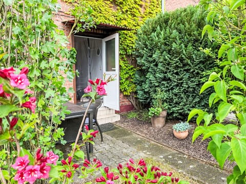 Green, Leaf, Shrub, Garden, Flowerpot, Spring, Groundcover, Yard, Houseplant