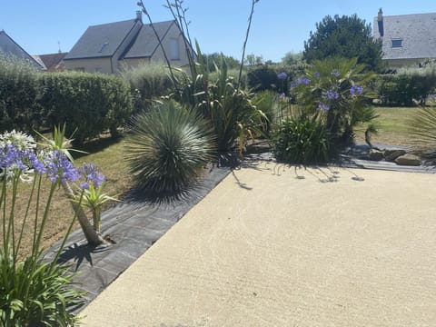 Shrub, Garden, Landscaping, Driveway, Walkway, Flagstone, Backyard, Evergreen