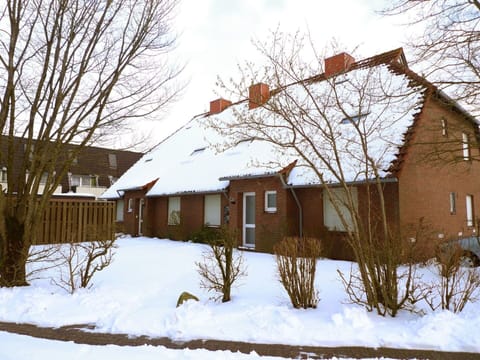 Snow, Plant, Building, Sky, Cloud, Property, Window, House, Twig, Branch
