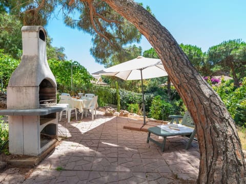 Plant, Furniture, Property, Sky, Plant Community, Tree, Outdoor Furniture, Shade, Leisure, Landscape