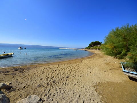 Water, Sky, Water Resources, Plant, Ecoregion, Blue, Azure, Tree, Beach, Coastal And Oceanic Landforms