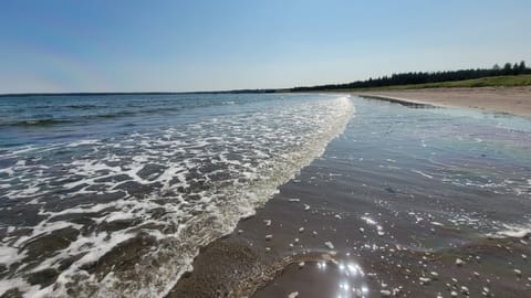 Pondville Beach