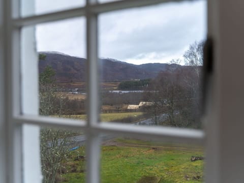 Sky, Plant, Window, Cloud, Wood, Shade, Sunlight, Tree, Glass