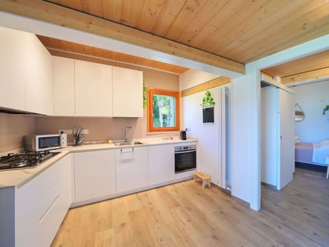 Cabinetry, Property, Countertop, Building, Kitchen Appliance, Wood, Kitchen Stove, Interior Design, Houseplant, Sink