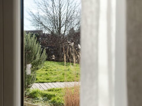 Plant, Window, Wood, Shade, Tree, Sky, Grass, Tints And Shades, Building