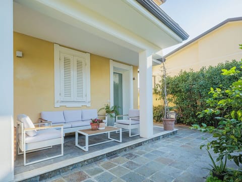 Plant, Property, Furniture, Building, Flowerpot, Houseplant, Window, Outdoor Furniture, Shade, Yellow