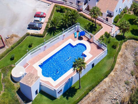 Plant, Urban Design, Swimming Pool, Land Lot, Leisure, Public Space, Residential Area, Landscape, Real Estate, Condominium