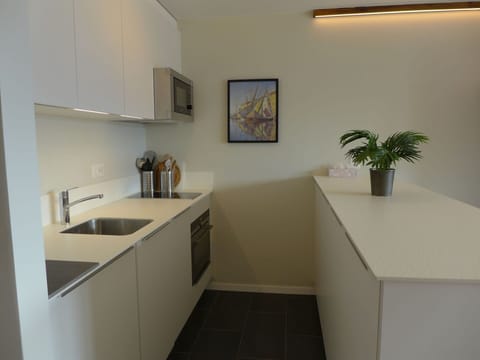 Cabinetry, Property, Sink, Plant, Flowerpot, Interior Design, Lighting, Architecture, Floor