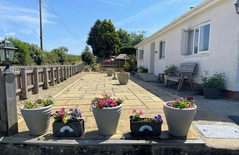 Exterior patio with plant pots around the edges