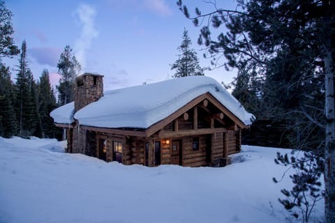 Indian_Paintbrush_0041