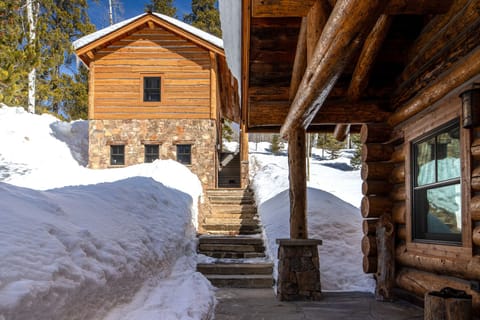 Indian_Paintbrush_0024