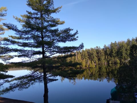 View from deck
