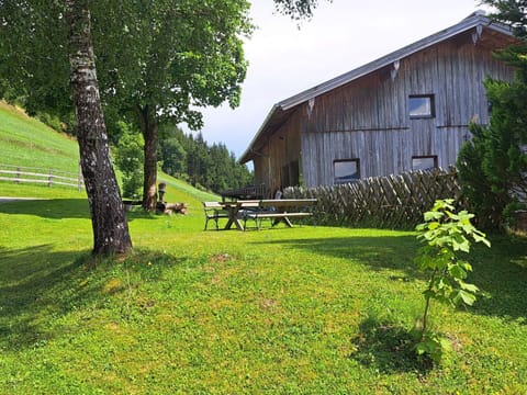 Plant, Property, Natural Landscape, Sky, Tree, Land Lot, Grass, Biome, Woody Plant, Landscape