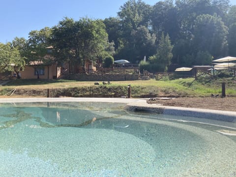Water, Plant, Water Resources, Property, Sky, Swimming Pool, Tree, Natural Landscape, Vegetation, Shade